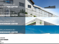 kneidingercenter.at Webseite Vorschau