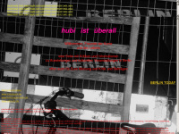 hubi-ist-ueberall.info Webseite Vorschau