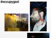 occupygezipics.tumblr.com Webseite Vorschau