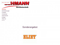 lehmann-gt.ch Webseite Vorschau
