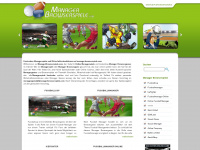 managerbrowserspiele.com Webseite Vorschau