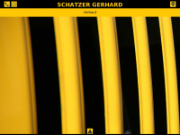 schatzer-gerhard.com Webseite Vorschau