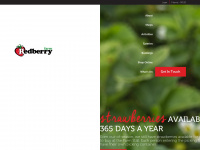 redberryfarm.co.za Webseite Vorschau