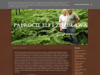 paprocie.blogspot.com Webseite Vorschau
