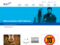 batmexico.com.mx Webseite Vorschau