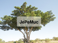jepemuc.de Webseite Vorschau