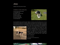jessy-im-himmel.de Webseite Vorschau