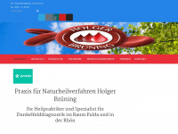 holger-bruening.com Webseite Vorschau
