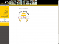 geising-curling.de Webseite Vorschau