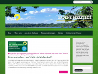 gruene-beelitz.de Webseite Vorschau