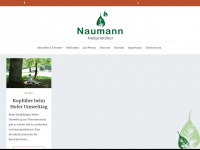 johannesnaumann.de Webseite Vorschau