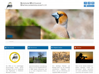 nw-ornithologen.de Webseite Vorschau
