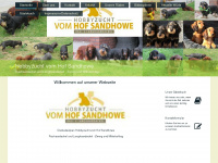 sandhowe.com Webseite Vorschau