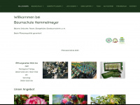 baumschule-hemmelmeyer.at Webseite Vorschau