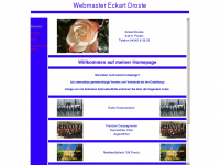 webmaster-droste.de Webseite Vorschau