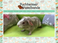 puchheimer-wuselbande.de Webseite Vorschau