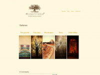 honeytree-photography.de Webseite Vorschau