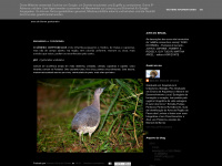 marcelobugre.blogspot.com Webseite Vorschau