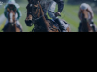 westminster-racehorses.de Webseite Vorschau