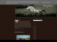 ponyfotos.blogspot.com Webseite Vorschau