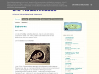 diekatzenklasse.blogspot.com Webseite Vorschau