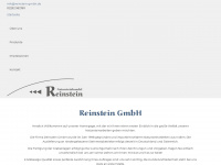 reinstein-gmbh.de Webseite Vorschau