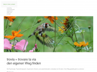 trovia.ch Webseite Vorschau