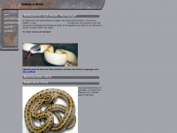 snakes-n-bikes.de Webseite Vorschau
