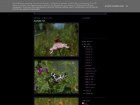 cameramala.blogspot.com Webseite Vorschau