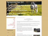 pferdepension-heger-extertal.com Webseite Vorschau