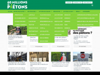 pietons.org Webseite Vorschau