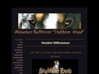 stubborn-head.de Webseite Vorschau