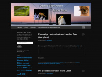 mydigitalview.wordpress.com Webseite Vorschau