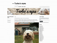 Turboseyes.wordpress.com