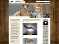 free-live.org Webseite Vorschau