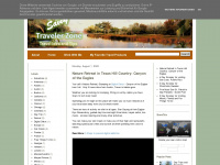 savvytravelerzone.com Webseite Vorschau