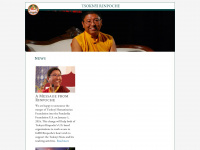 tsoknyirinpoche.org Webseite Vorschau