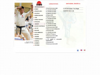 jka-celje.com Webseite Vorschau