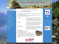 holz-systemhaus.ch Webseite Vorschau