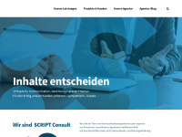 script-consult.de Webseite Vorschau