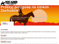 dzikizachod.com.pl Webseite Vorschau