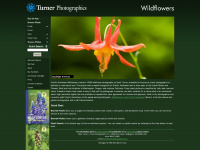 pnwflowers.com Thumbnail