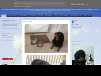 mollythewally.blogspot.com Webseite Vorschau