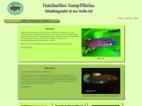 kletterfische.de Webseite Vorschau