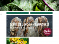 mueller-steinmaur.ch Webseite Vorschau
