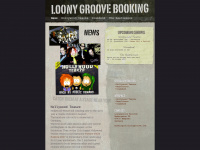loonygroove.com Webseite Vorschau