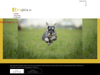 trixpics.ch Webseite Vorschau