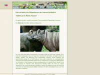 babirusa.org Webseite Vorschau