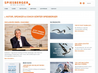 spiesberger.cc Webseite Vorschau
