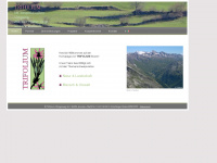 trifolium.net Webseite Vorschau